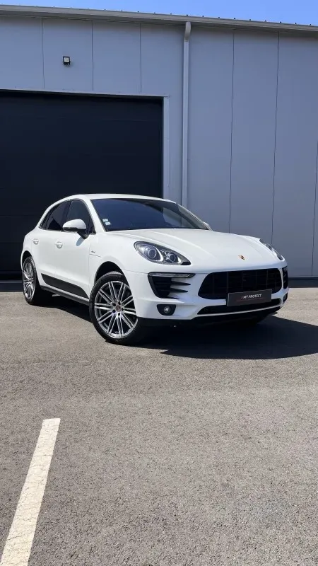 macan-blanc-1