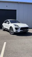 macan-blanc-1